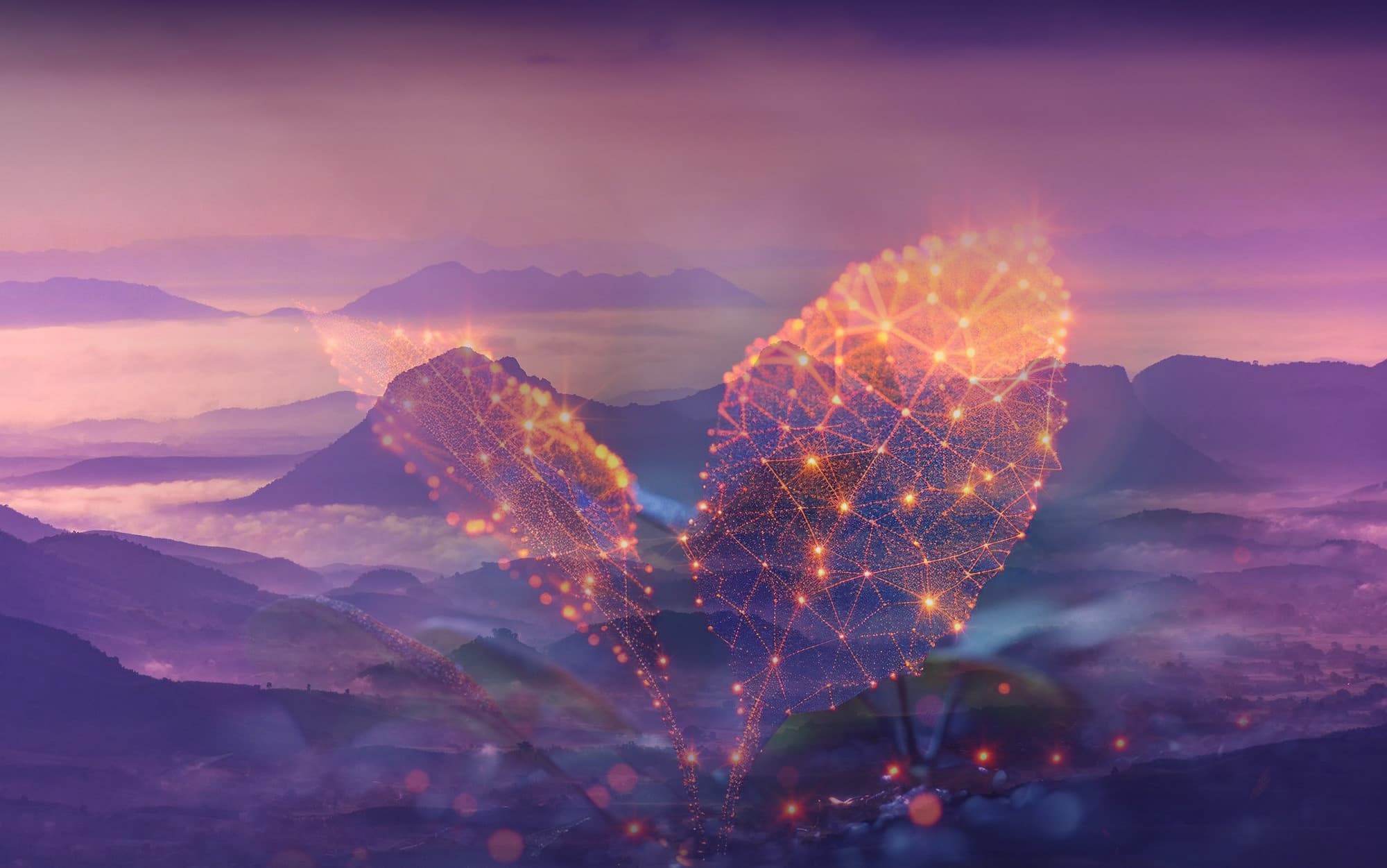 Streamline your business with a clear ROI